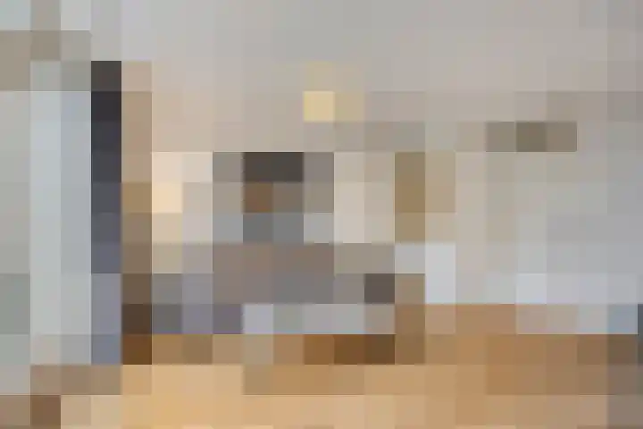 Pastoor de Leijerstraat 38 Rosmalen thumbnail 4