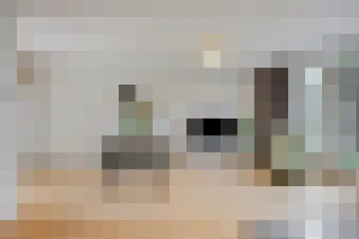 Pastoor de Leijerstraat 38 Rosmalen thumbnail 5