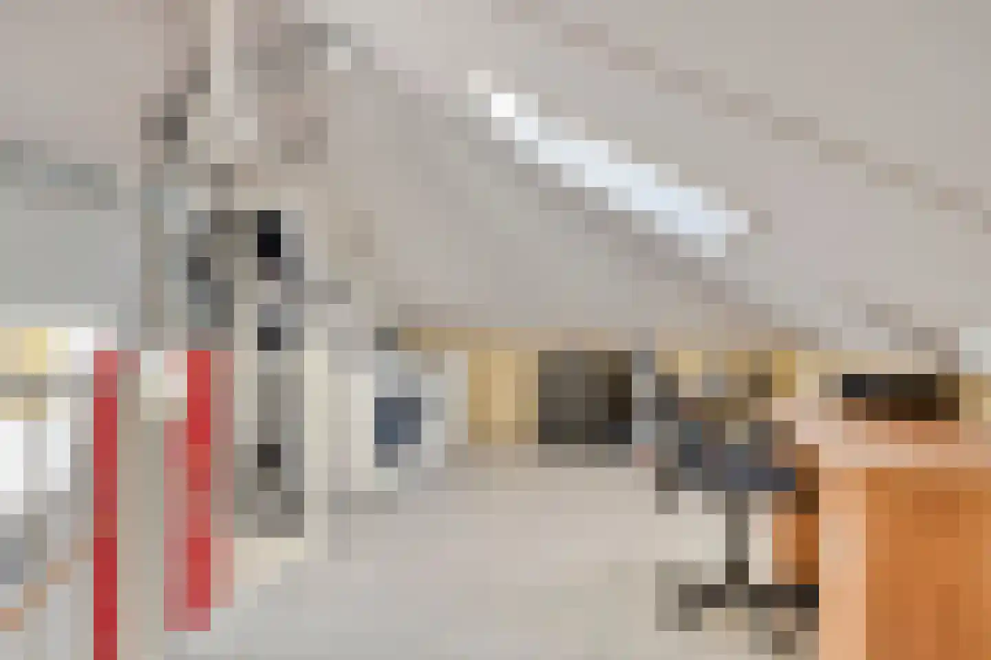 Pastoor de Leijerstraat 84 Rosmalen thumbnail 28
