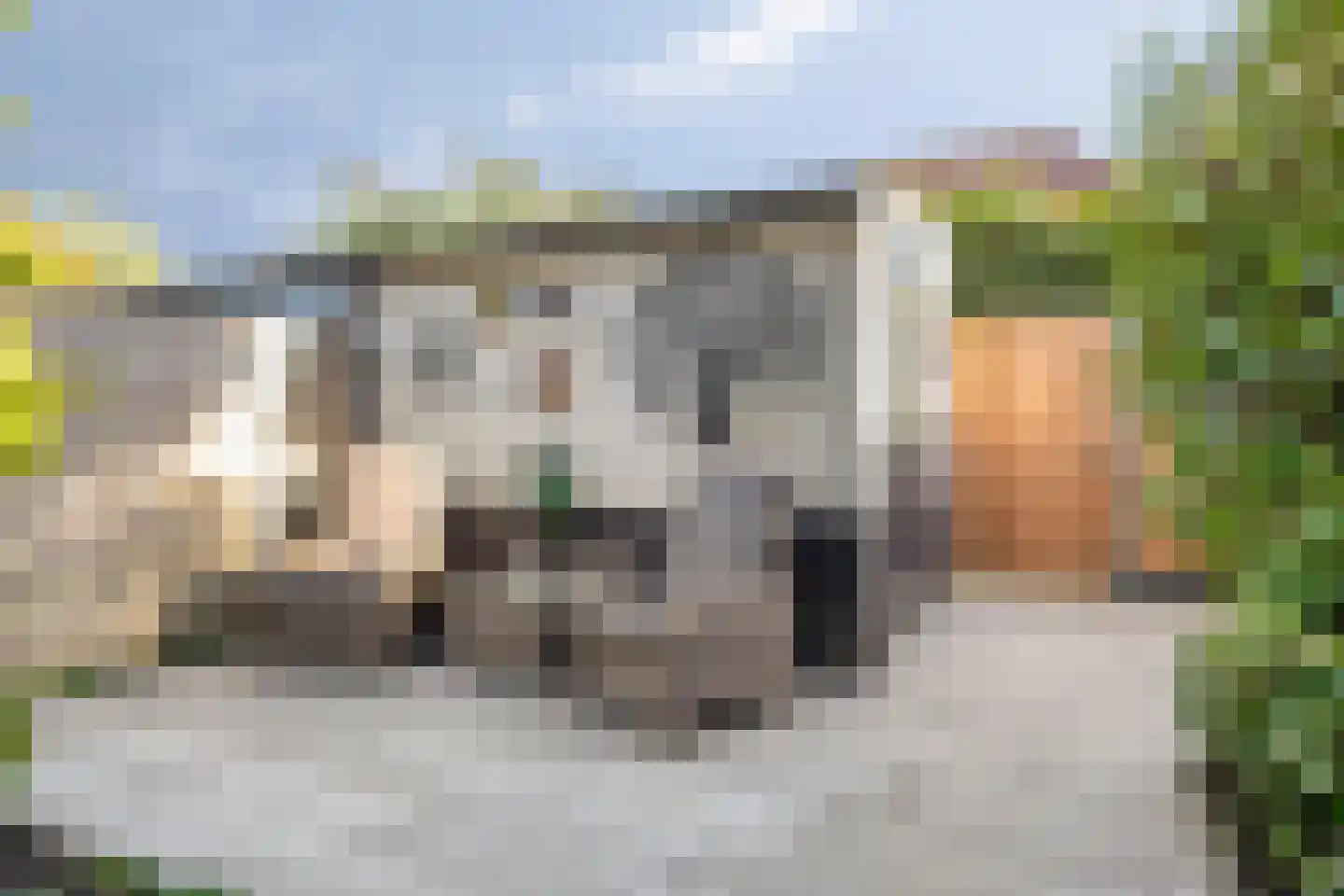 Pastoor de Leijerstraat 84 Rosmalen thumbnail 30