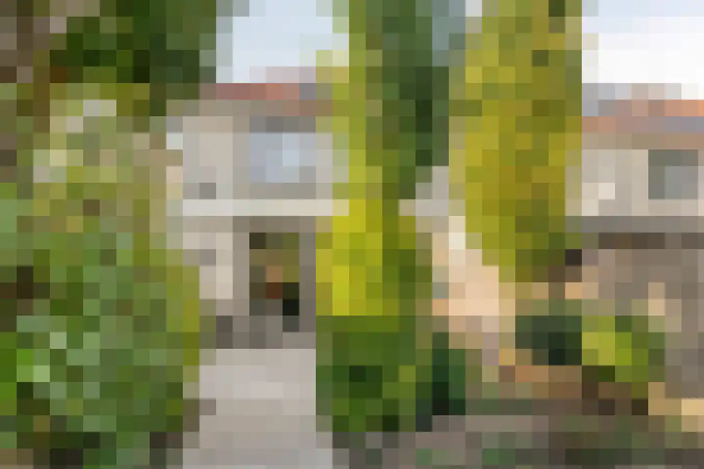 Pastoor de Leijerstraat 84 Rosmalen thumbnail 32