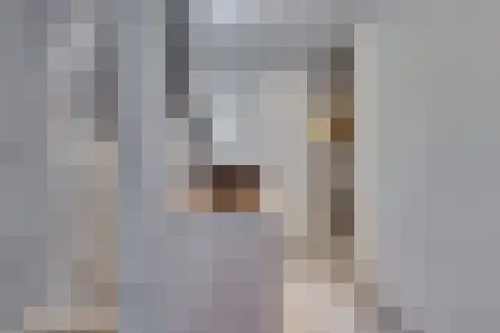 Pastoor de Leijerstraat 90 Rosmalen thumbnail 18