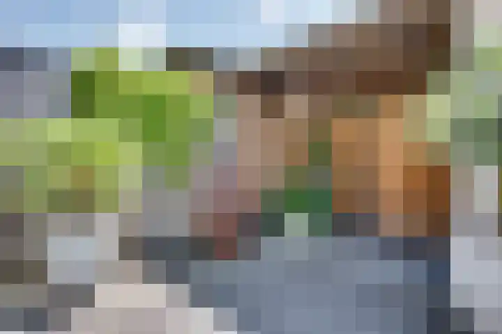 Pastoor de Leijerstraat 90 Rosmalen thumbnail 27