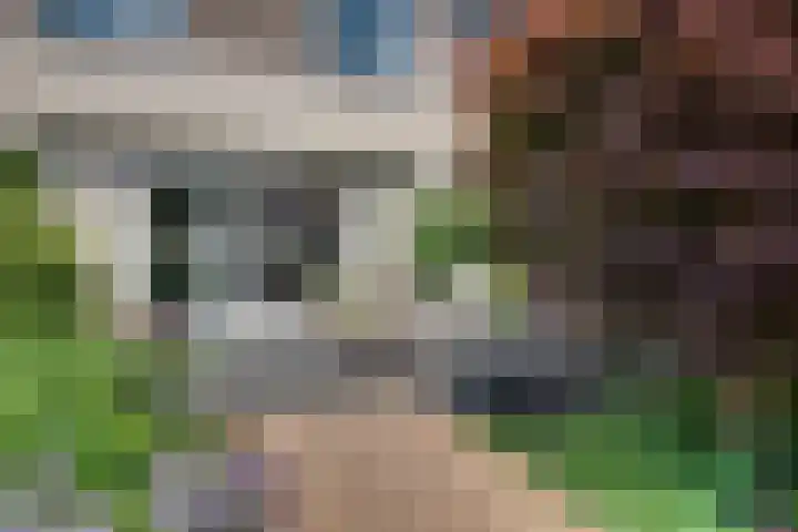 Pastoor de Leijerstraat 90 Rosmalen thumbnail 28