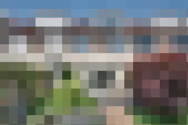 Pastoor de Leijerstraat 90 Rosmalen thumbnail 30