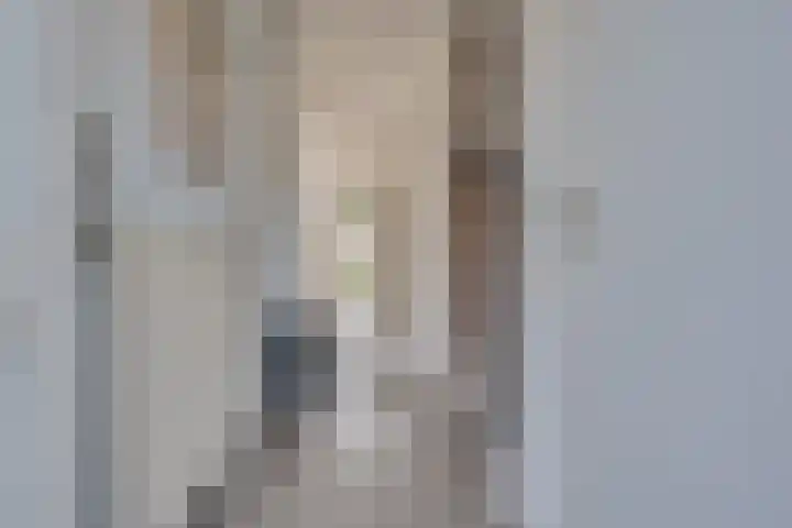 Pastoor de Leijerstraat 90 Rosmalen thumbnail 5