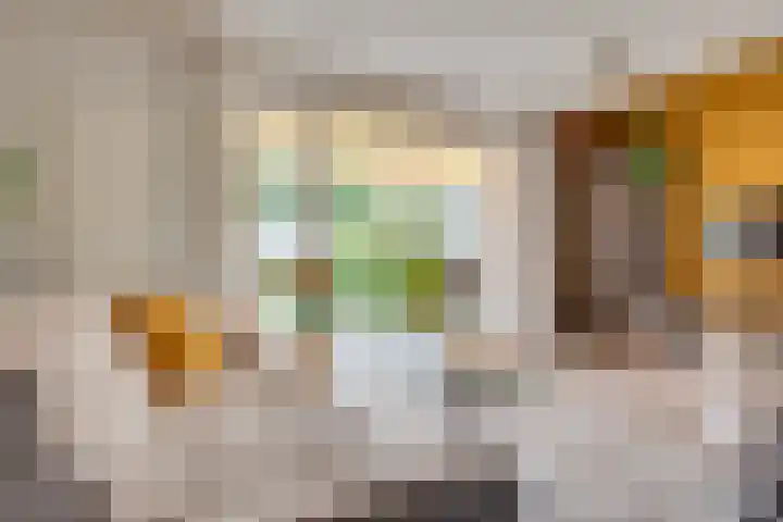 Pastoor de Leijerstraat 90 Rosmalen thumbnail 6