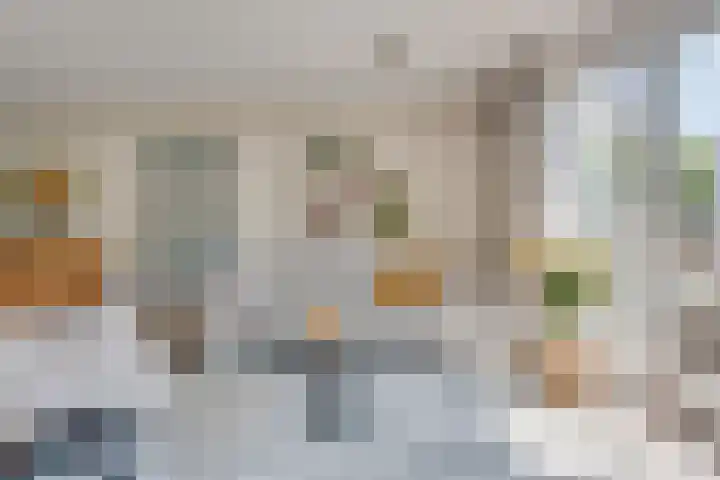 Pastoor de Leijerstraat 90 Rosmalen thumbnail 7