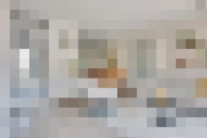 Pastoor de Leijerstraat 90 Rosmalen thumbnail 8