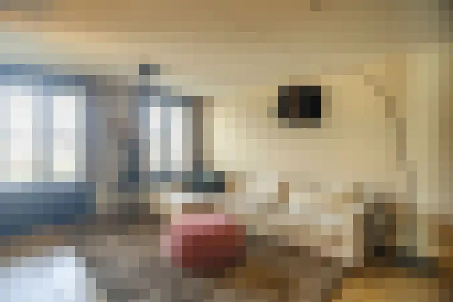 Pastoor de Louwstraat 2 Moergestel thumbnail 13