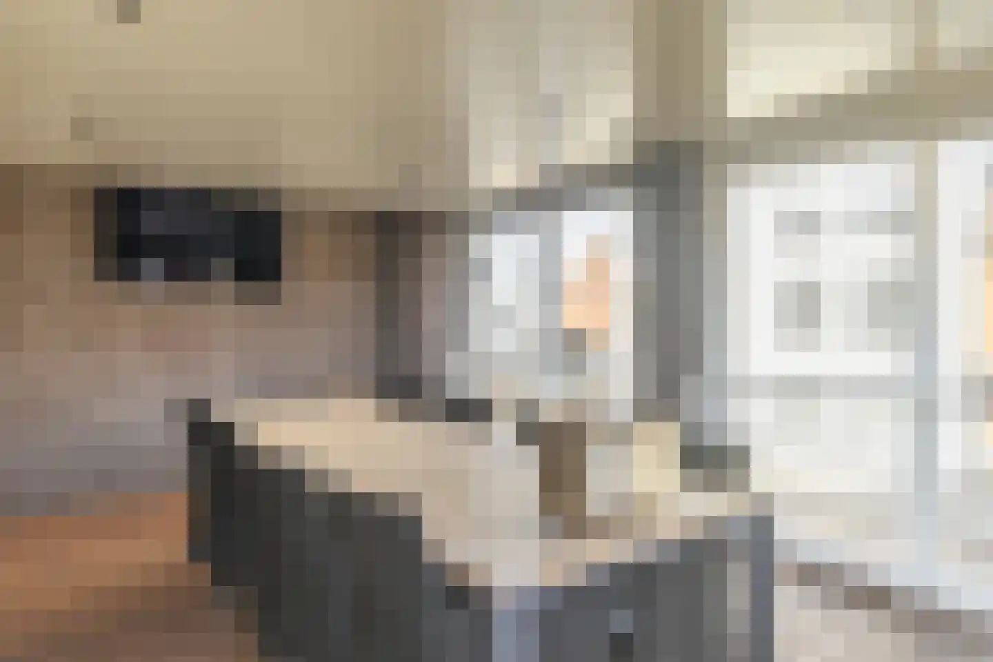 Pastoor de Louwstraat 2 Moergestel thumbnail 20