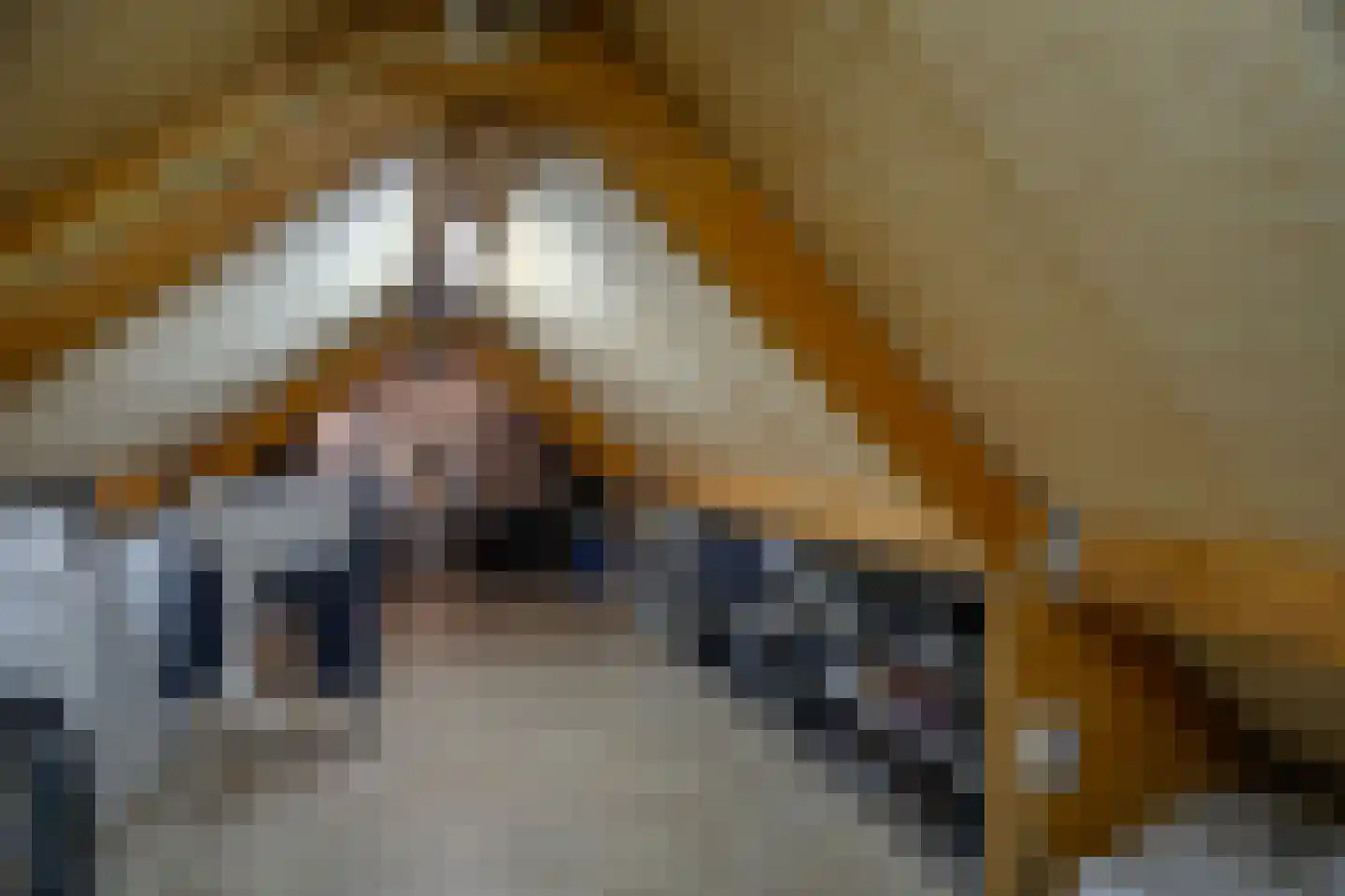 Pastoor de Louwstraat 2 Moergestel thumbnail 29