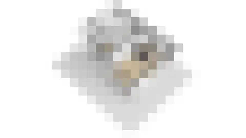Pastoor de Louwstraat 2 Moergestel thumbnail 44