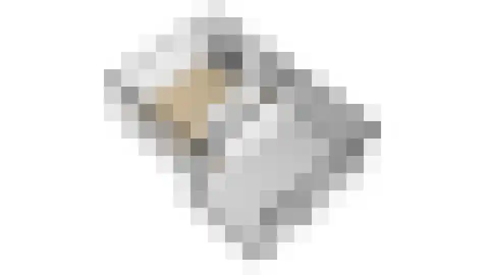 Pastoor de Louwstraat 2 Moergestel thumbnail 45
