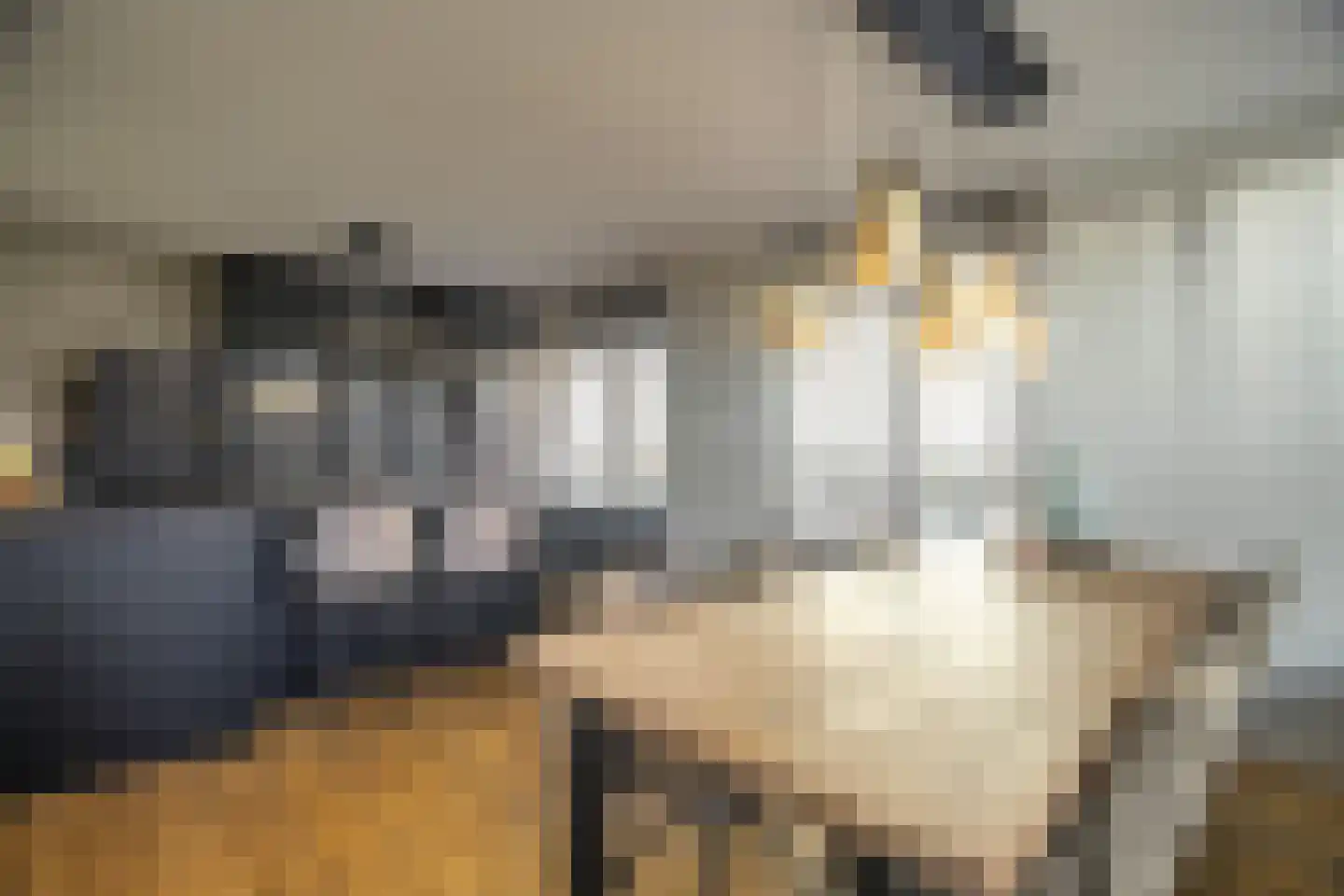 Pastoor de Louwstraat 2 Moergestel thumbnail 6