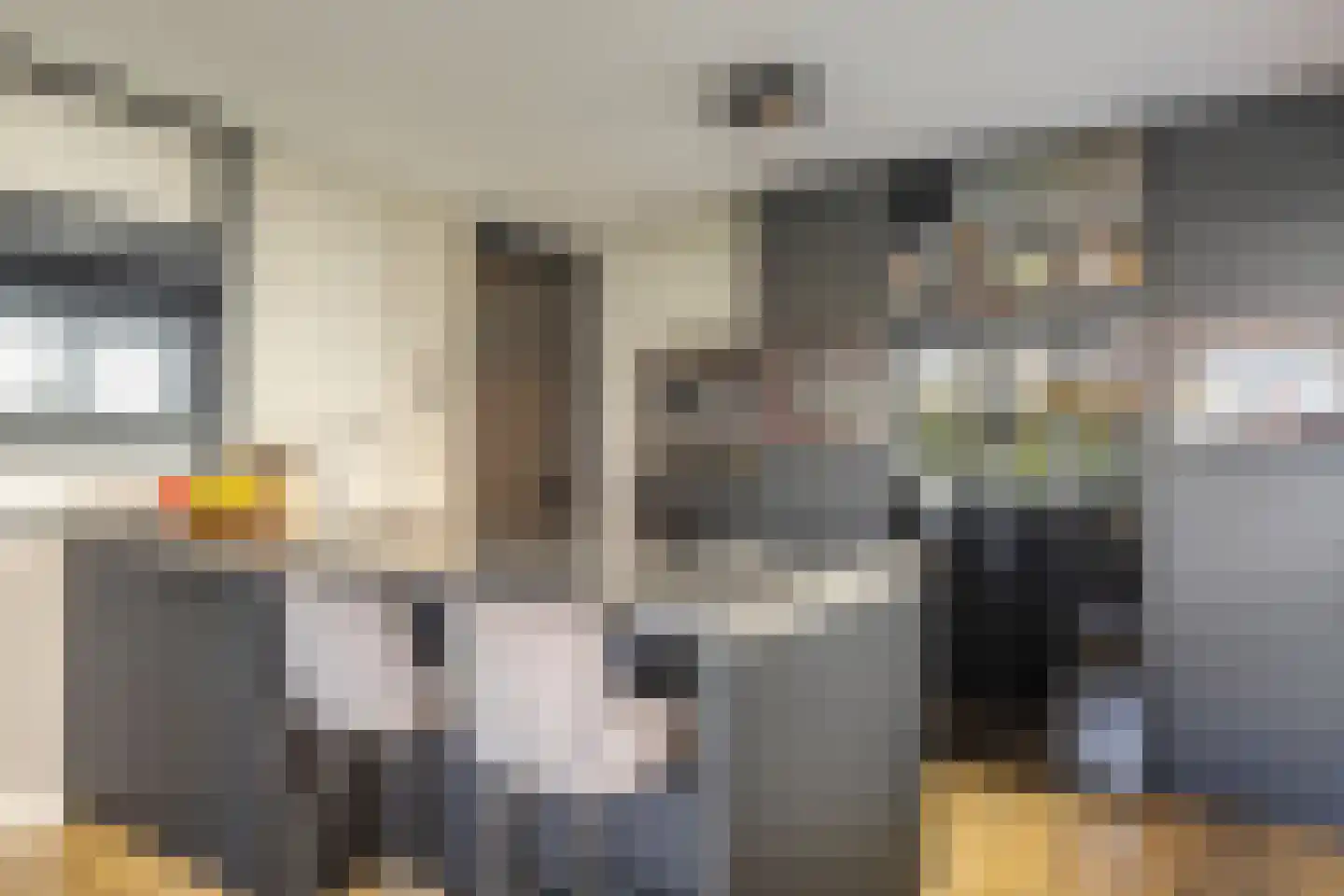 Pastoor de Louwstraat 2 Moergestel thumbnail 8