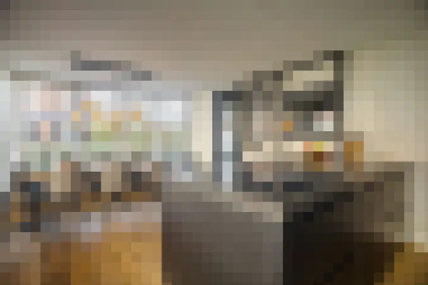 Pastoor de Louwstraat 2 Moergestel thumbnail 9