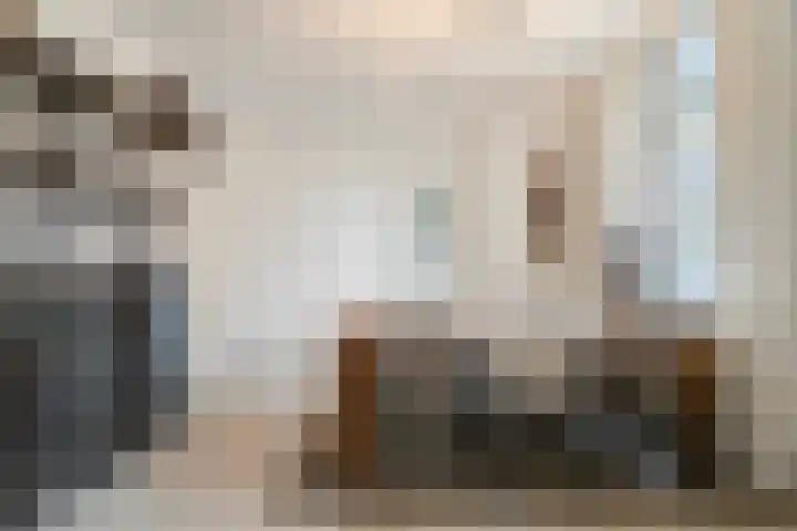 Pastoor de Winterstraat 20 Mierlo thumbnail 8