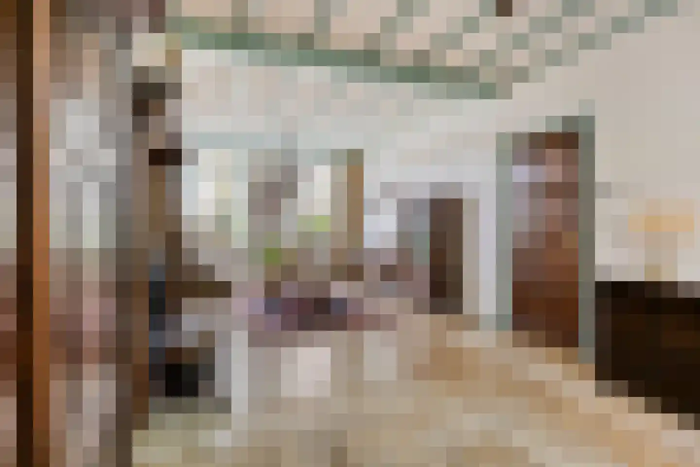 Pastoor de Winterstraat 22 Mierlo thumbnail 13