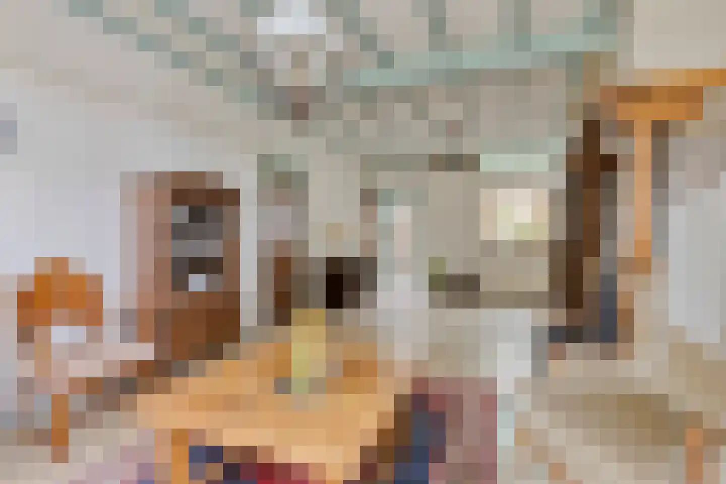 Pastoor de Winterstraat 22 Mierlo thumbnail 17