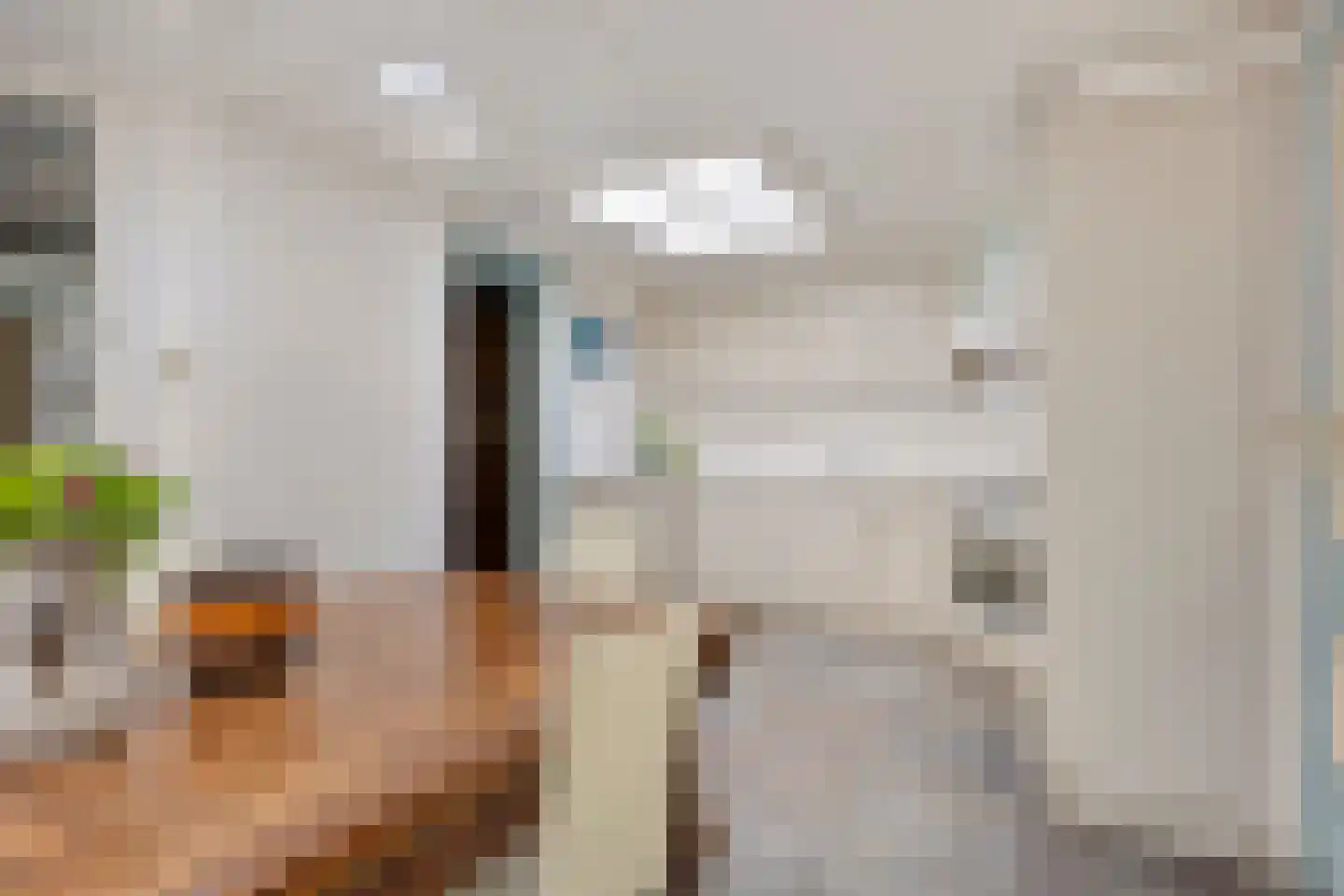 Pastoor de Winterstraat 22 Mierlo thumbnail 23