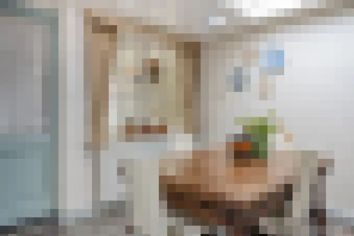 Pastoor de Winterstraat 22 Mierlo thumbnail 25