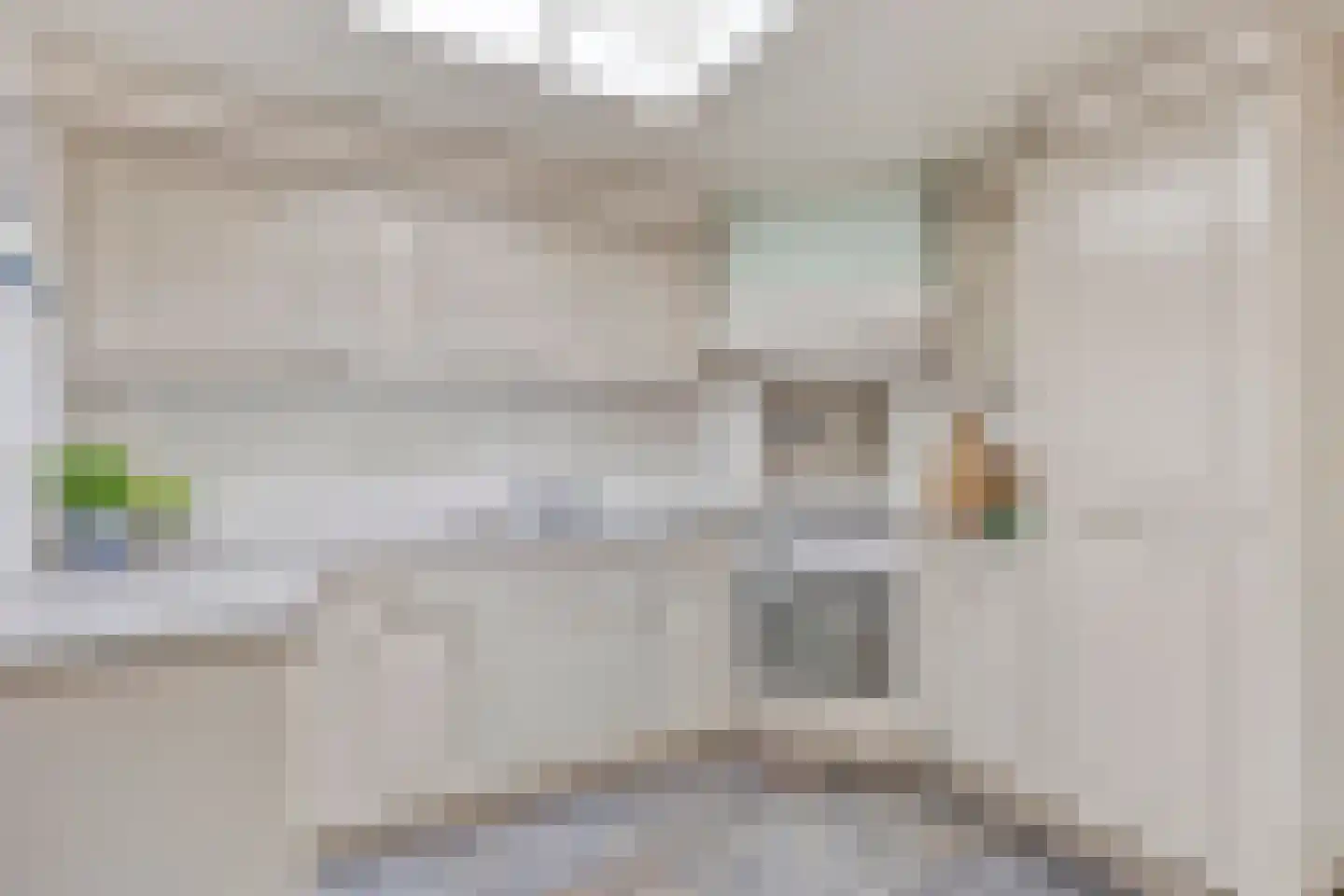 Pastoor de Winterstraat 22 Mierlo thumbnail 27
