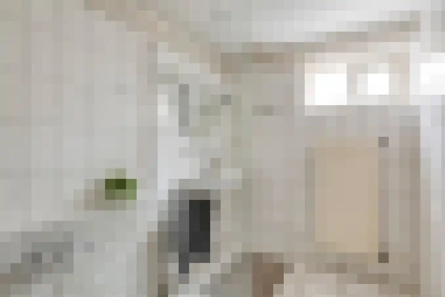 Pastoor de Winterstraat 22 Mierlo thumbnail 30