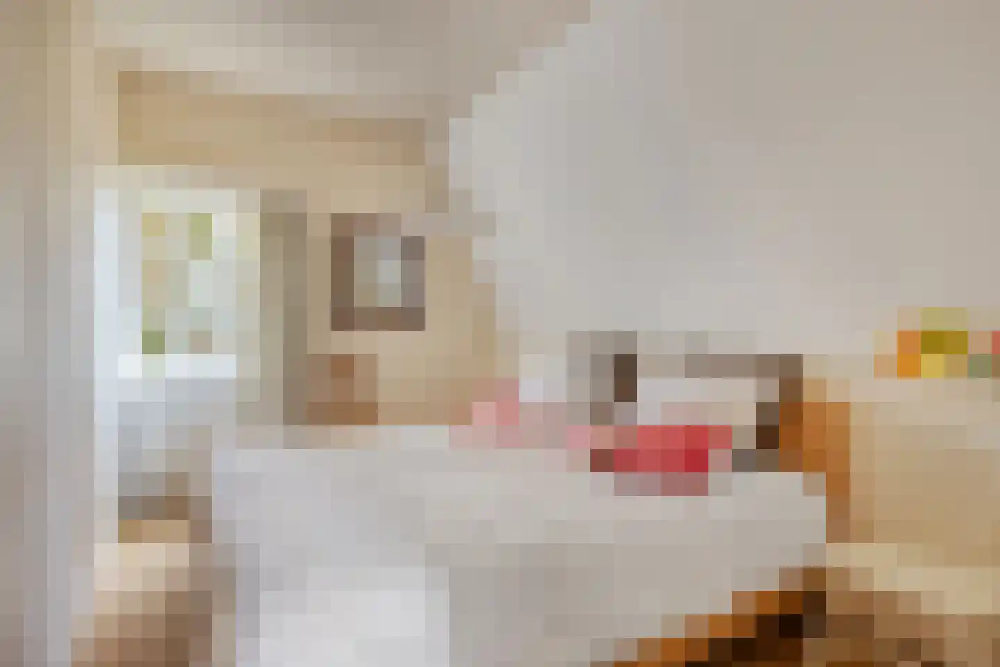 Pastoor de Winterstraat 22 Mierlo thumbnail 32