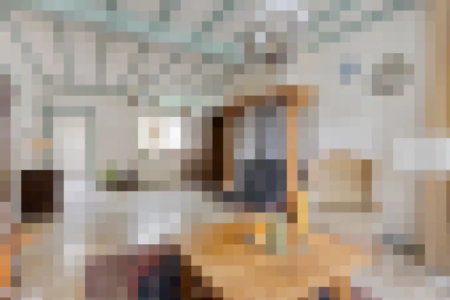 Pastoor de Winterstraat 22 Mierlo thumbnail 4