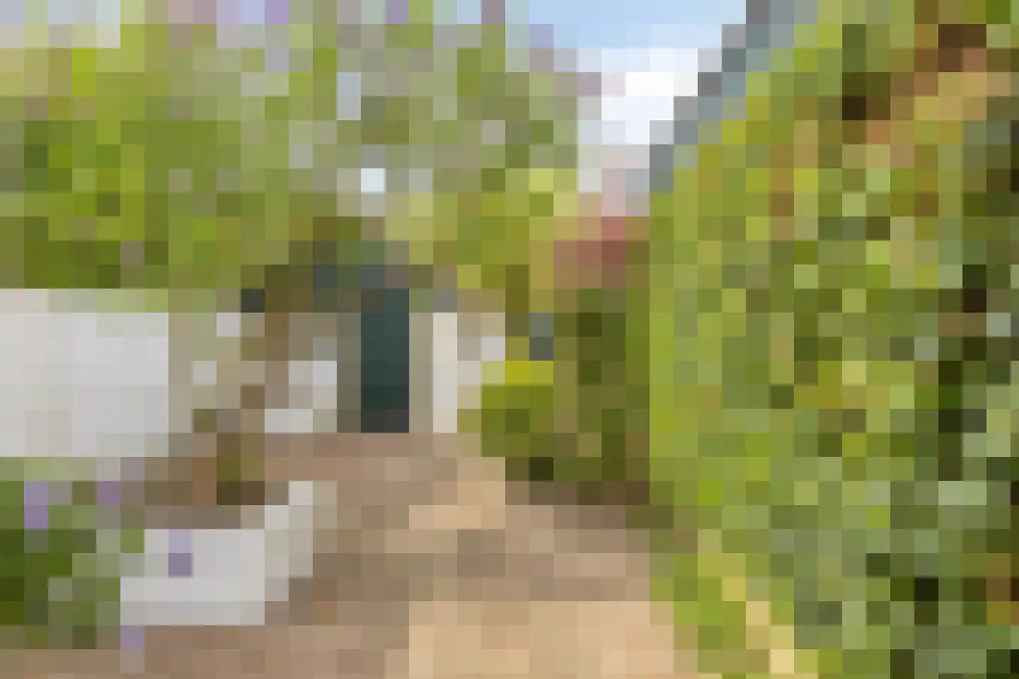 Pastoor de Winterstraat 22 Mierlo thumbnail 40