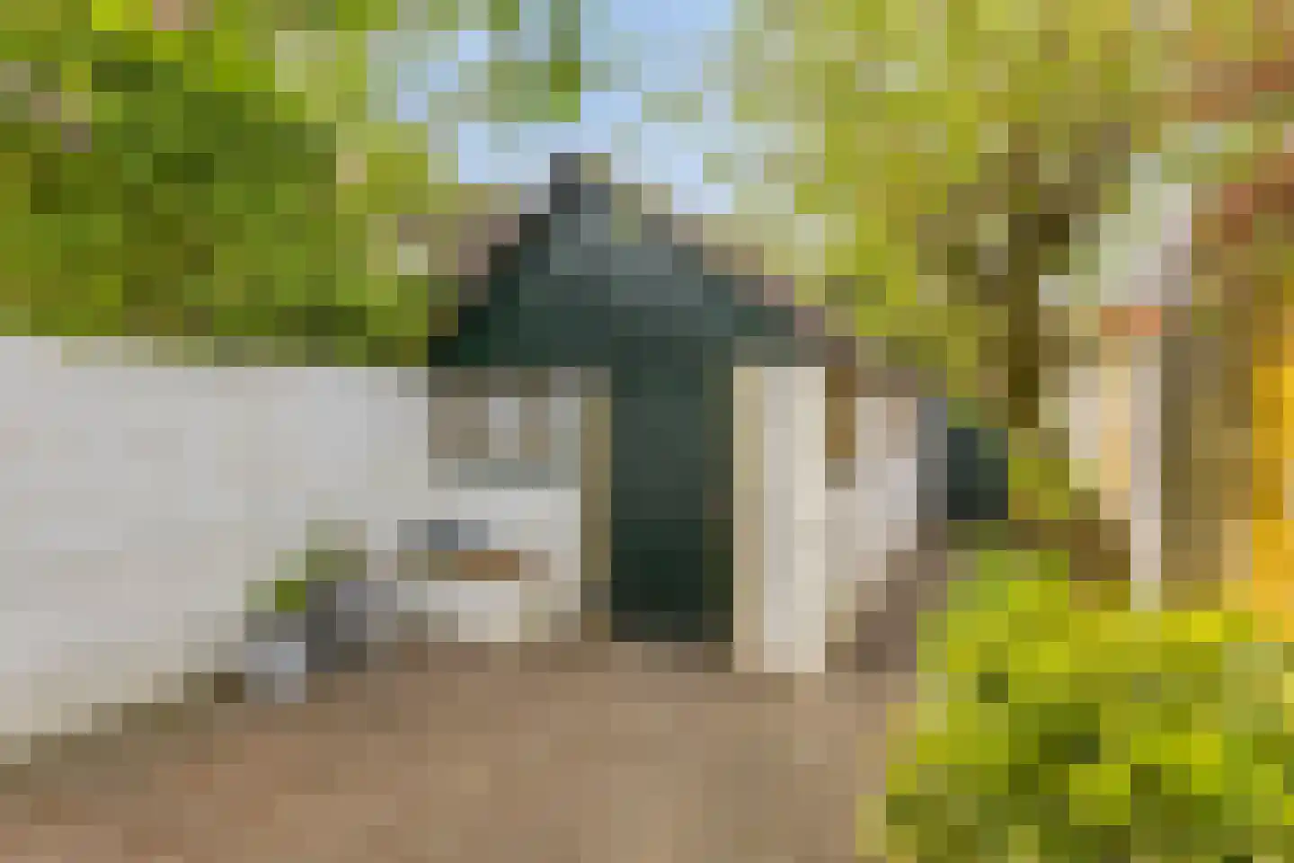 Pastoor de Winterstraat 22 Mierlo thumbnail 43