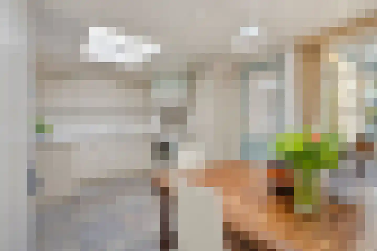 Pastoor de Winterstraat 22 Mierlo thumbnail 5