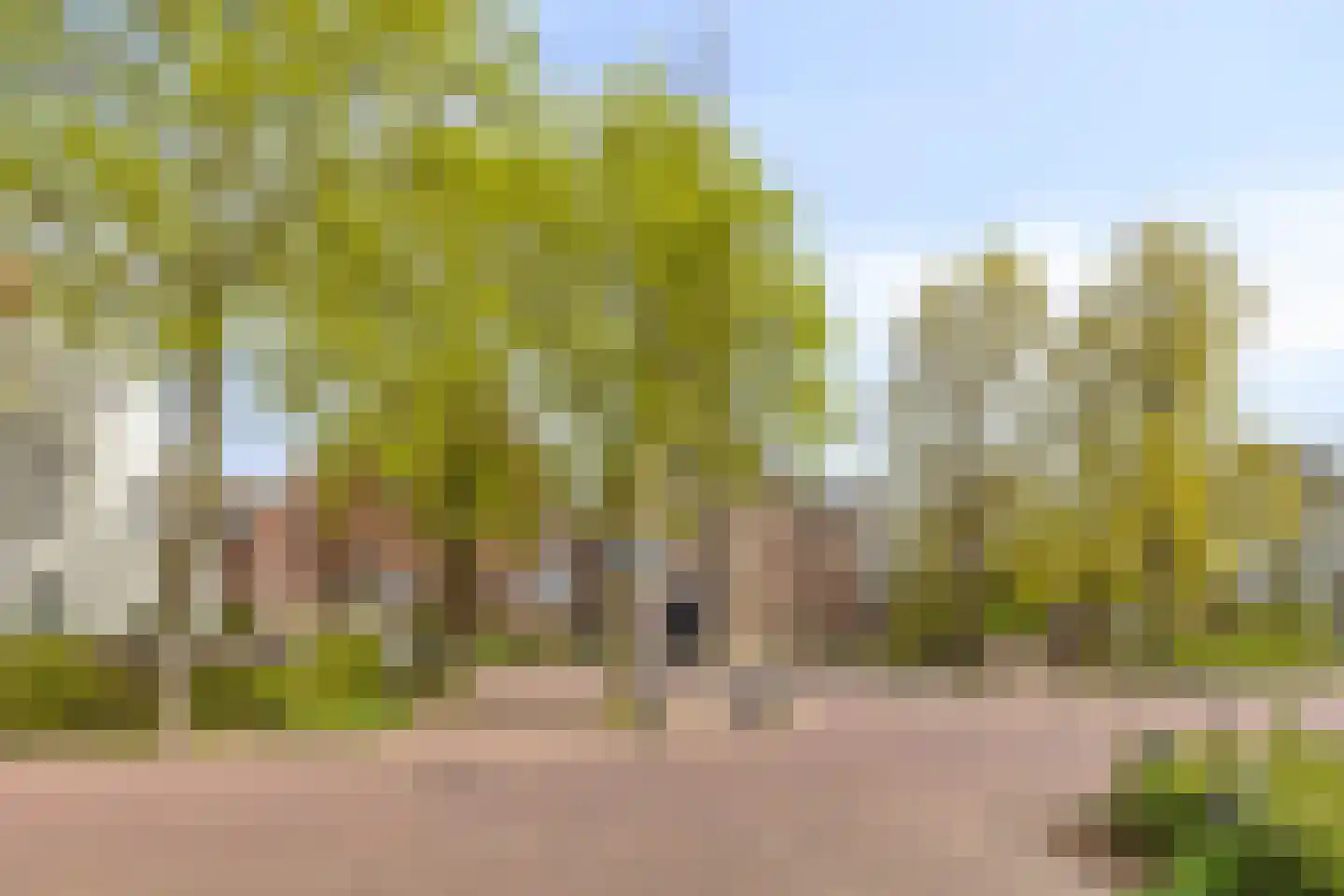 Pastoor de Winterstraat 22 Mierlo thumbnail 50