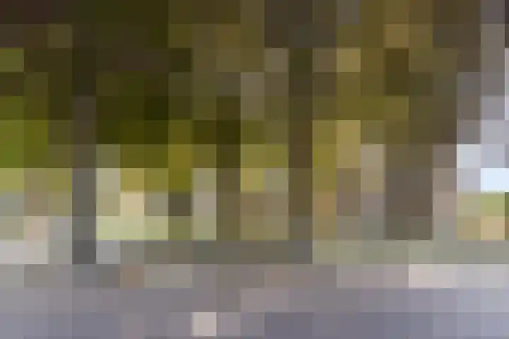 Pastoor de Winterstraat 24 Mierlo thumbnail 31