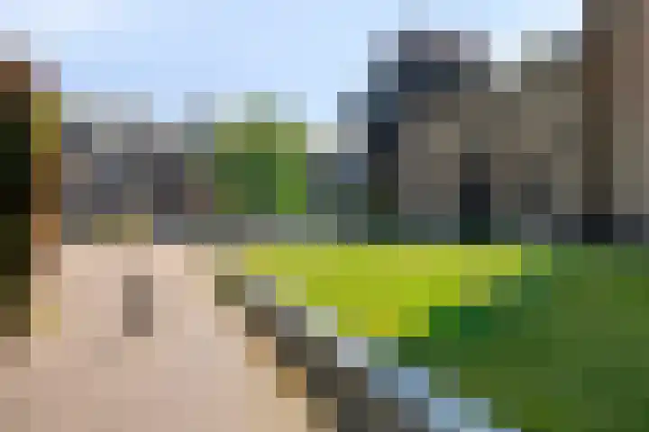 Pastoor de Winterstraat 24 Mierlo thumbnail 37