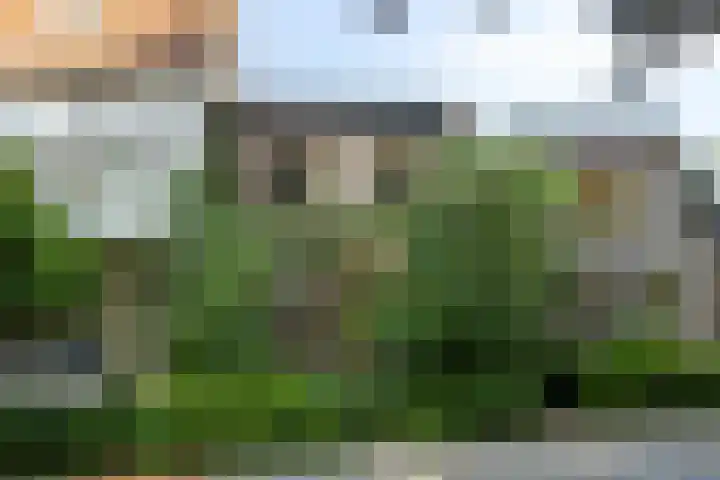 Pastoor de Winterstraat 24 Mierlo thumbnail 41