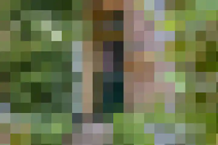 Pastoor de Winterstraat 24 Mierlo thumbnail 8