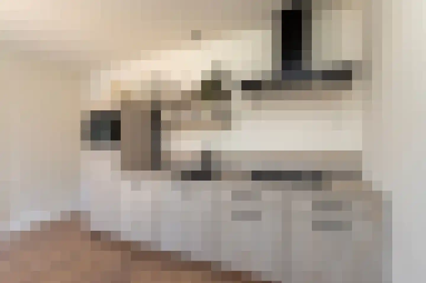 Pastoor de Witstraat 1 Putte thumbnail 13