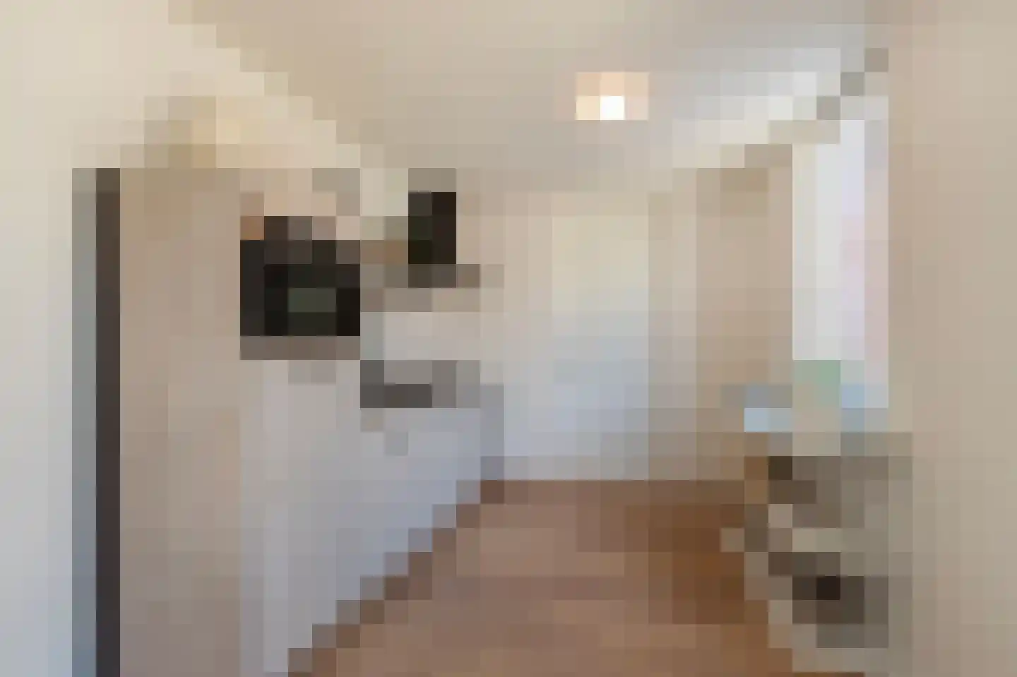 Pastoor de Witstraat 1 Putte thumbnail 14