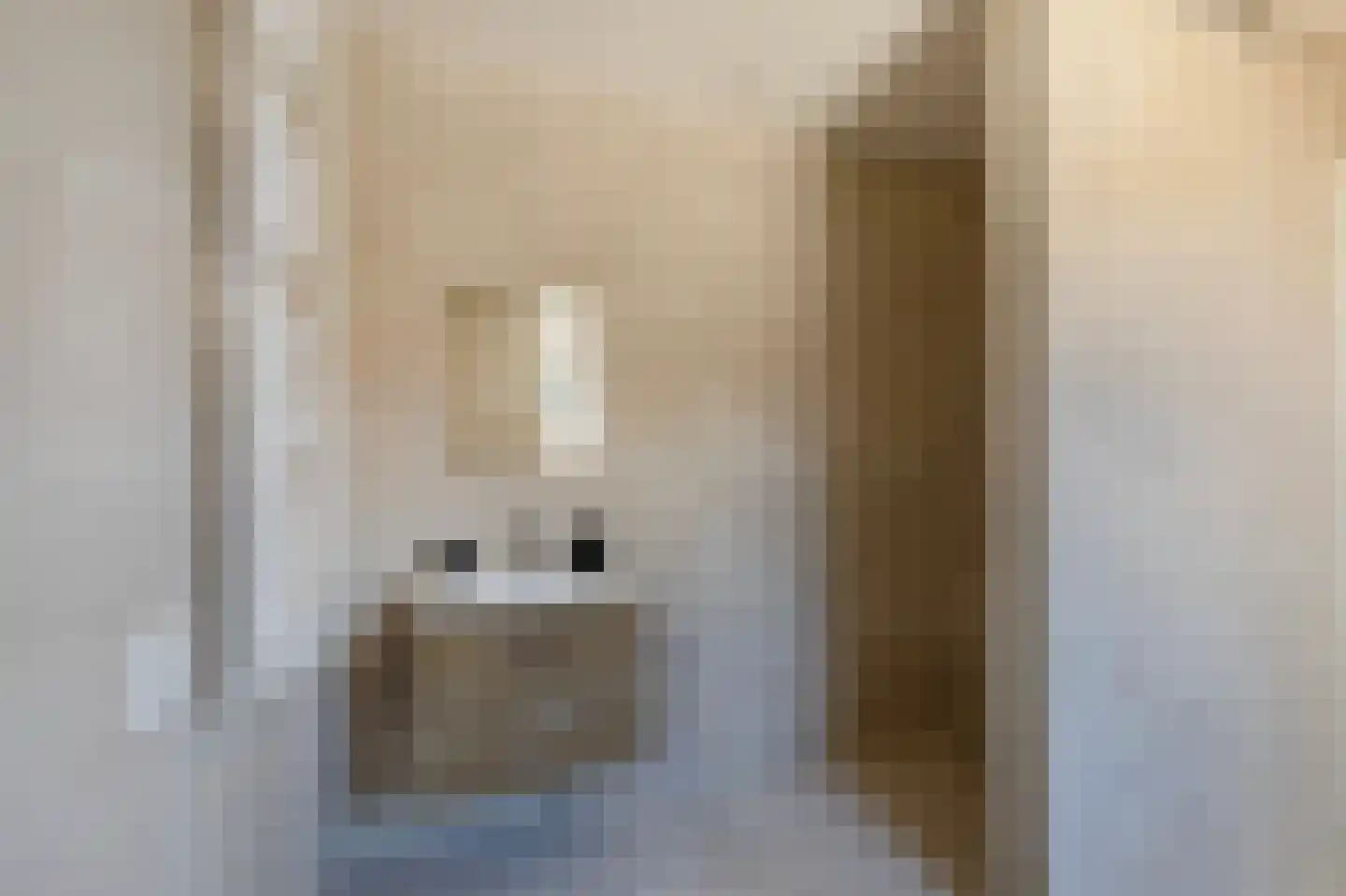 Pastoor de Witstraat 1 Putte thumbnail 18