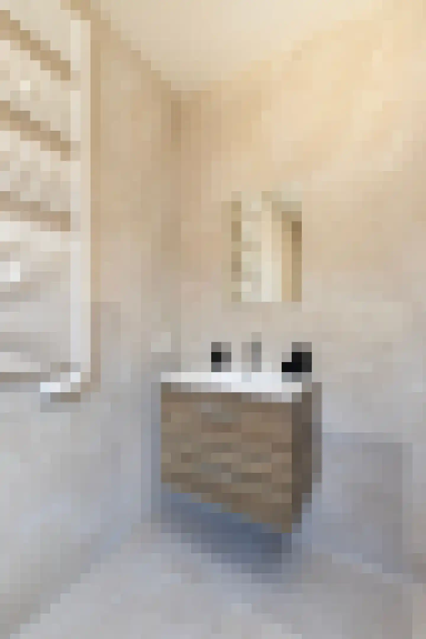 Pastoor de Witstraat 1 Putte thumbnail 19