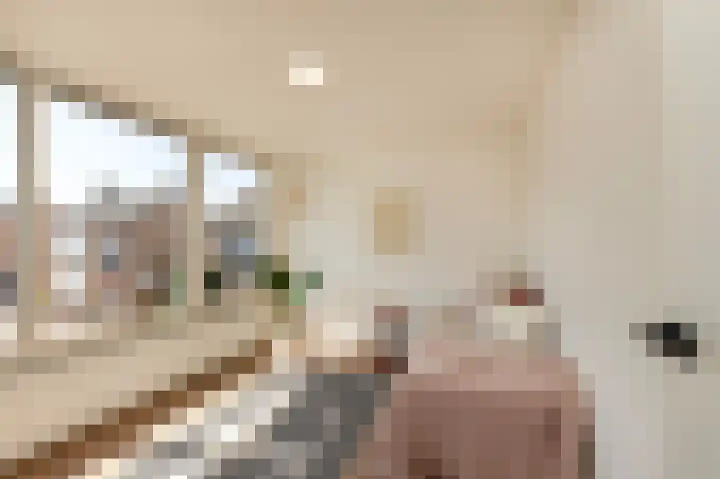 Pastoor de Witstraat 1 Putte thumbnail 26