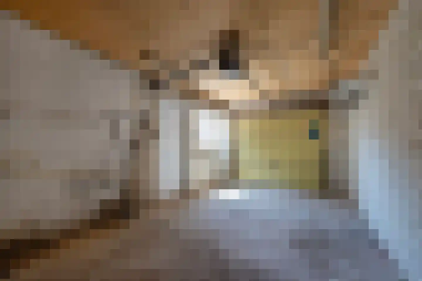 Pastoor de Witstraat 1 Putte thumbnail 36