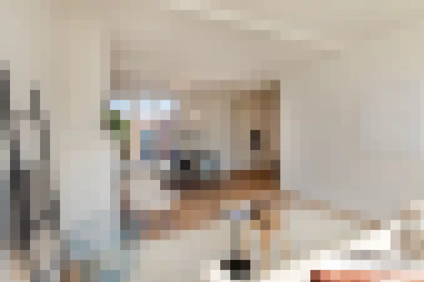 Pastoor de Witstraat 1 Putte thumbnail 6