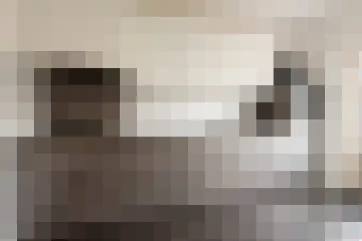 Pastoor de Witstraat 10 Putte thumbnail 12