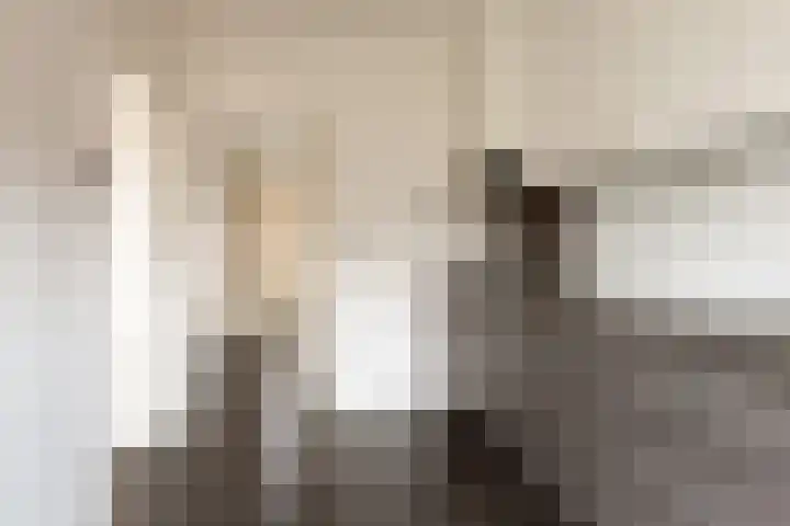 Pastoor de Witstraat 10 Putte thumbnail 14