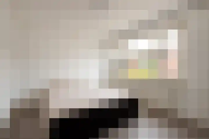Pastoor de Witstraat 10 Putte thumbnail 19