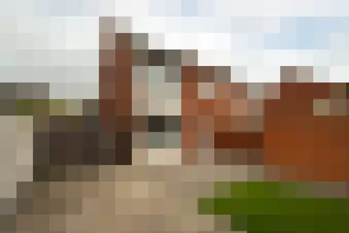 Pastoor de Witstraat 10 Putte thumbnail 26