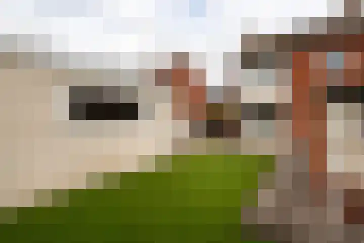 Pastoor de Witstraat 10 Putte thumbnail 28